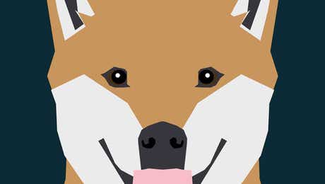 Shiba Inu Art