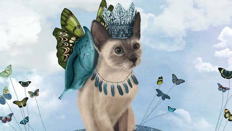 Siamese Cat Art