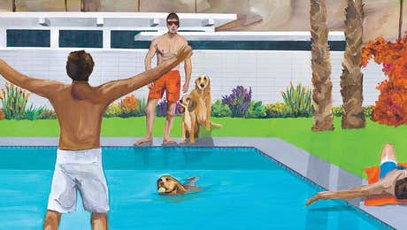 Similar to David Hockney