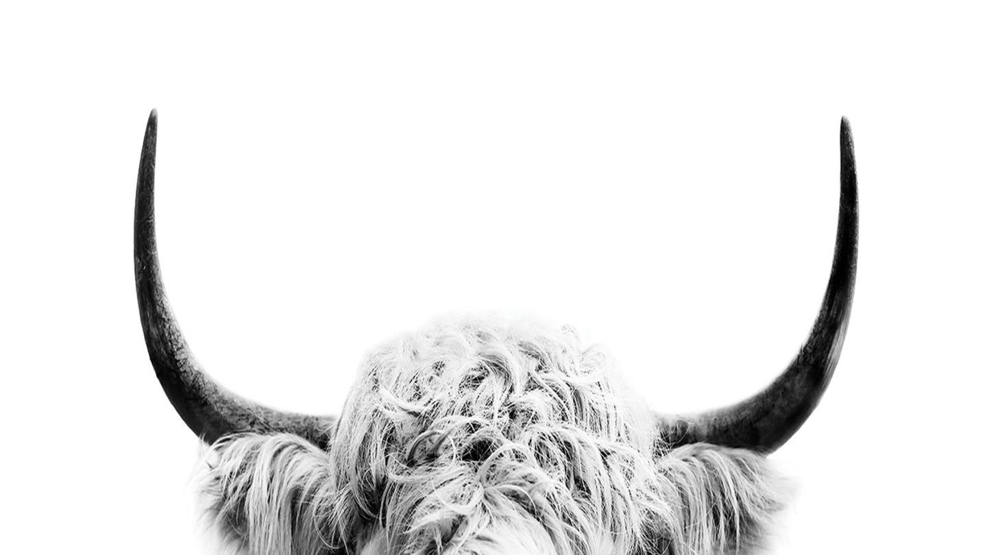 Sisi & Seb - Canvas Prints - Canvas Prints & Wall Art | iCanvas