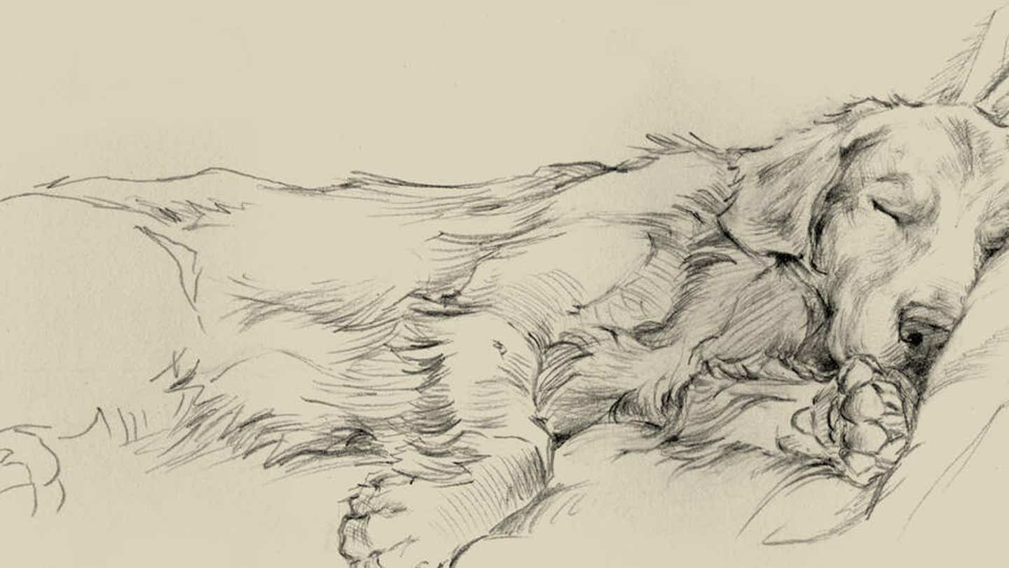 Sleeping & Napping Art: Canvas Prints & Wall Art | iCanvas