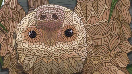 Sloth Art