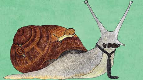 Snail Art