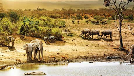 South Africa