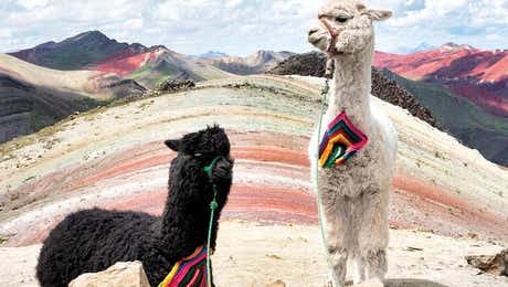 South American Culture