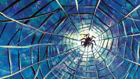 Spider Art
