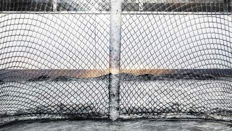 Hockey Art
