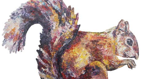 Squirrel Art