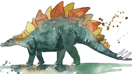 Stegosaurus Art
