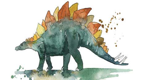 Stegosaurus Art