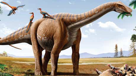 Stocktrek Images - Dinosaur Collection