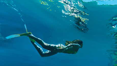 Swimming Art
