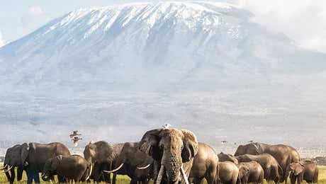 Tanzania
