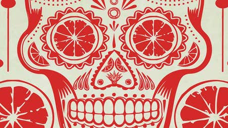 Tequila Art