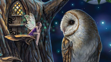 The Secret Lives of Fairies