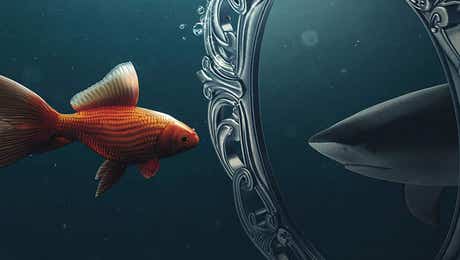 Through The Looking Glass