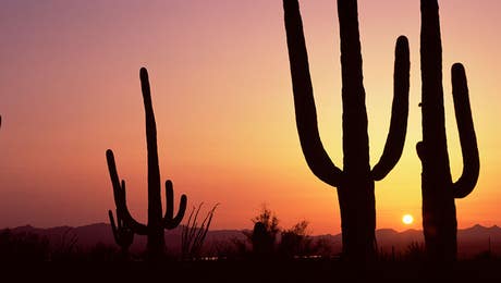 Tucson Art