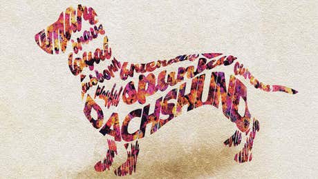 Typographic Dogs