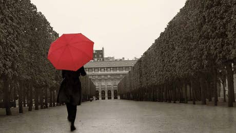 Umbrella Art