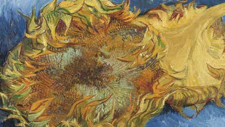 Van Gogh's Sunflowers Collection