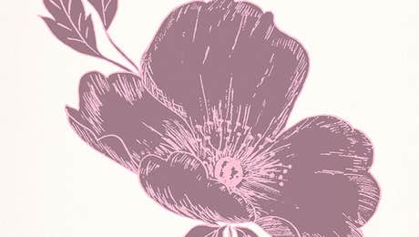 Violet Art