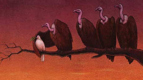 Vulture Art