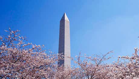 Washington Monument
