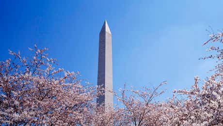 Washington Monument