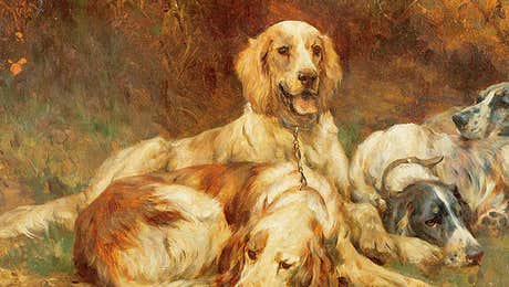 Welsh Springer Spaniel Art