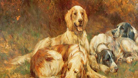 Welsh Springer Spaniel Art