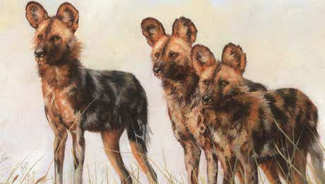Wildlife Conservation Art