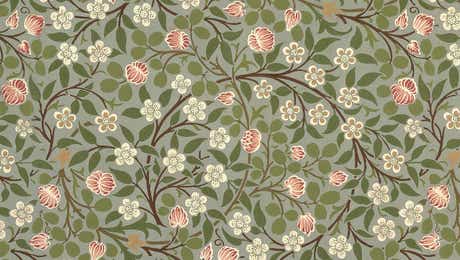 William Morris