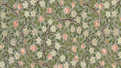 William Morris