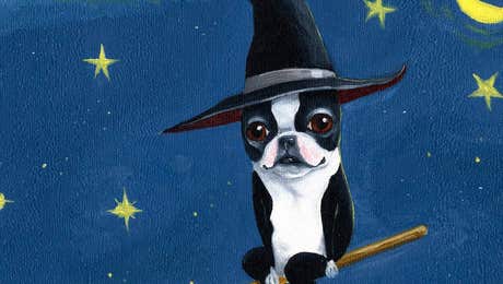 Witch Art