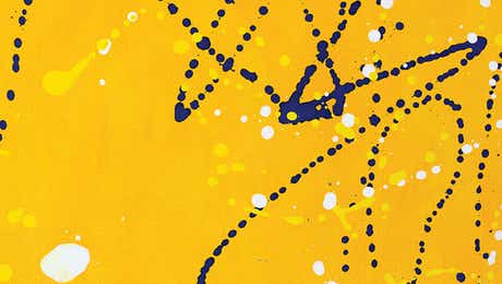 Yolanda Fernandez-Shebeko