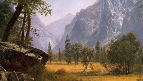 Yosemite National Park Art