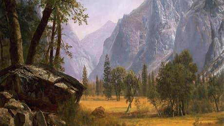 Yosemite National Park Art