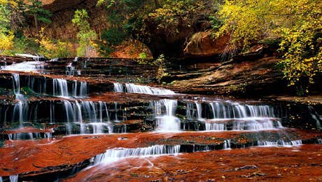 Zion National Park Art