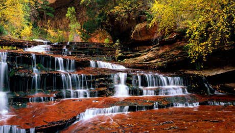 Zion National Park Art