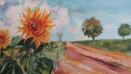 Zoran Mihajlovic Muza