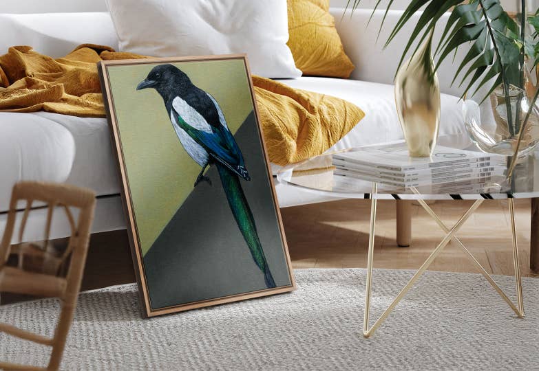 The Art of the Feather - COTW
