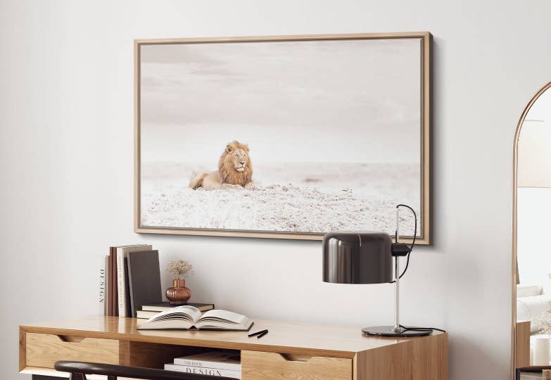 Minimalist Wildlife Photography - COTW