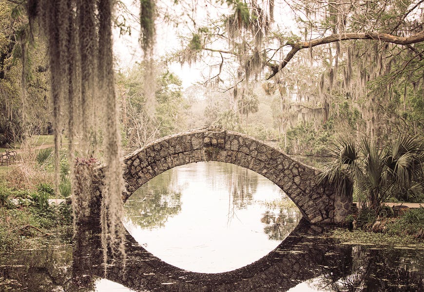 New Orleans City Park III by Ann Hudec