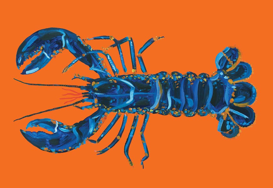 Lobster on Orange by Alice Straker