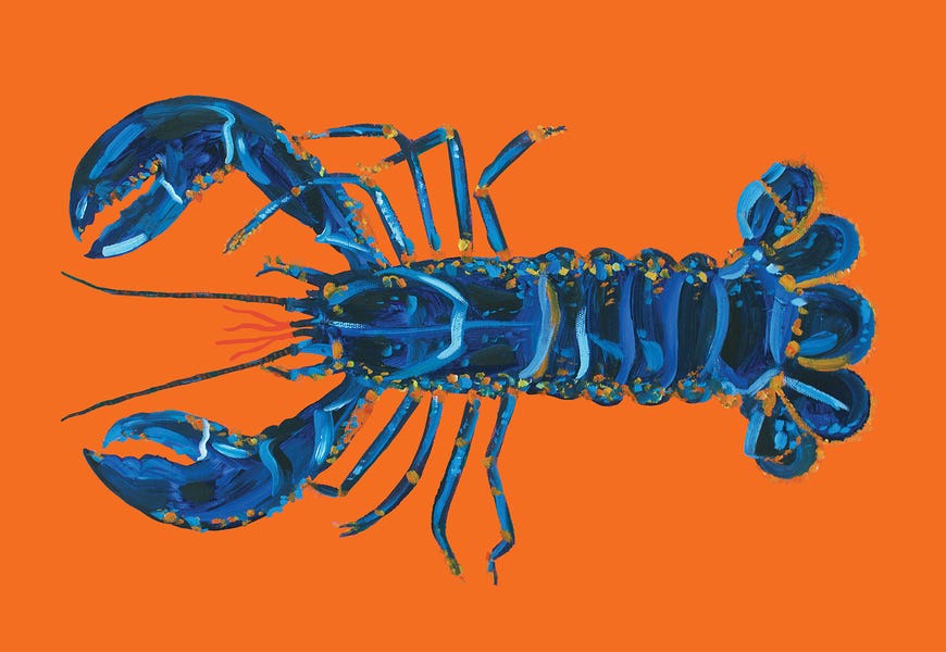 Lobster on Orange by Alice Straker