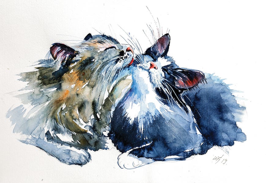 Cats by Anna Brigitta Kovacs