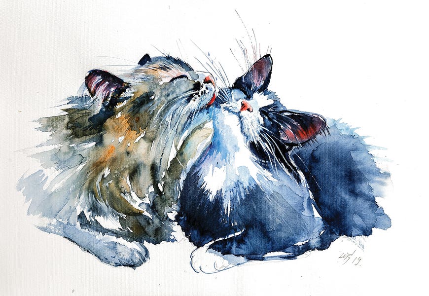 Cats by Anna Brigitta Kovacs