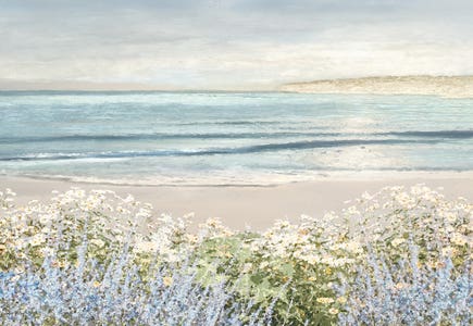 Beaches