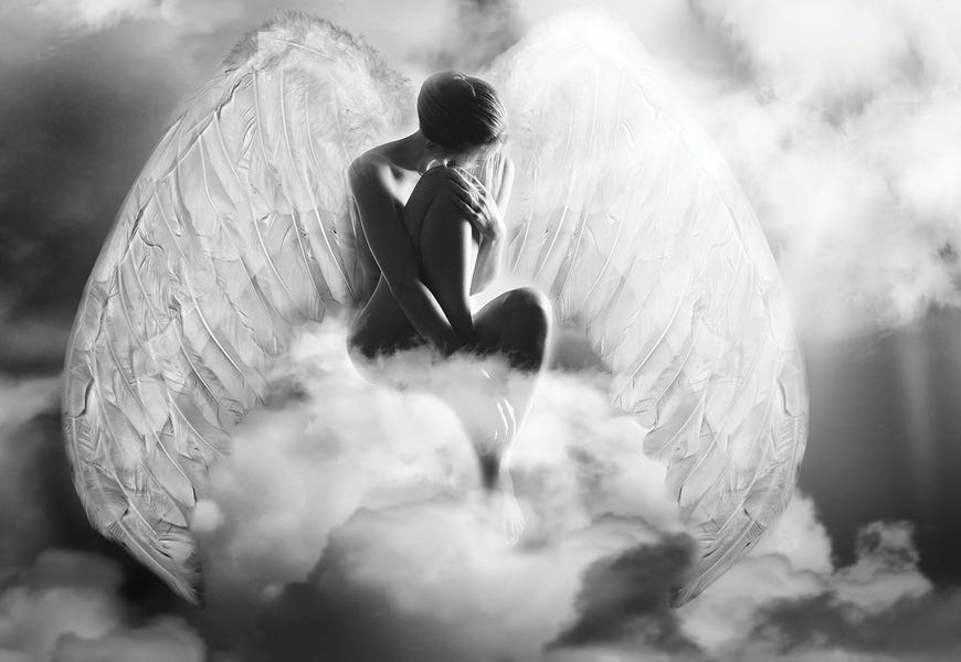 Angel Wings by Tatiana Amrein