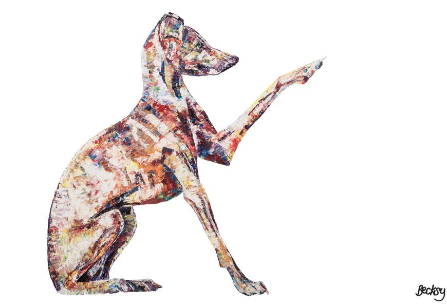 Italian Greyhound by BECKSY